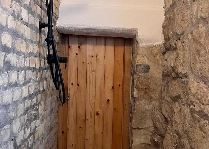 Mediterrane - Bologne *