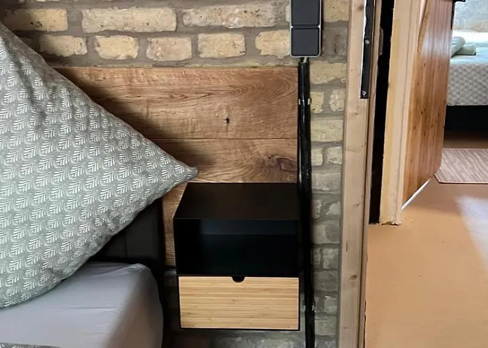 Mediterrane - Bologne * 法兰肯塔尔