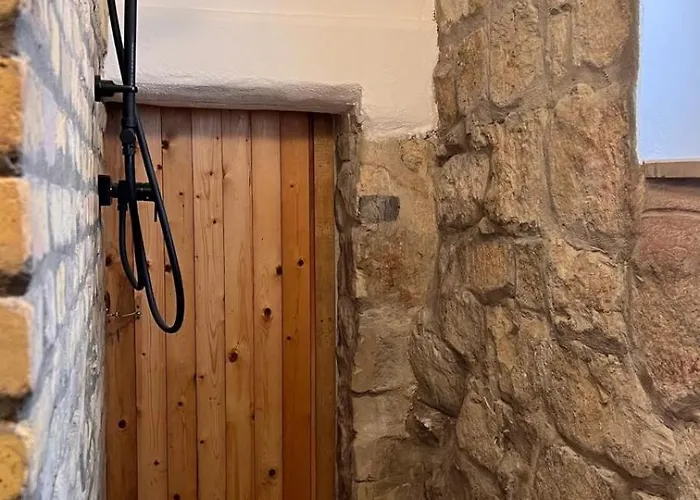 Mediterrane - Bologne *